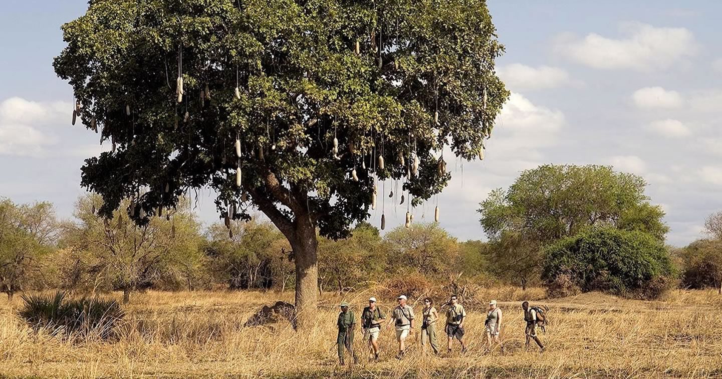 South Luangwa National Park