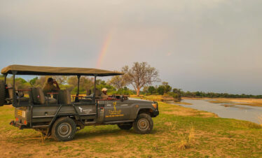 South Luangwa Thornicroft Zambia Africa