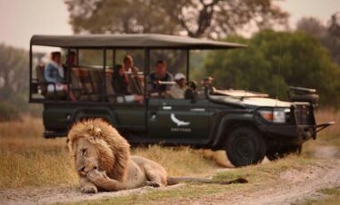 Kafue National Park South Luangwa Thornicroft Zambia Africa