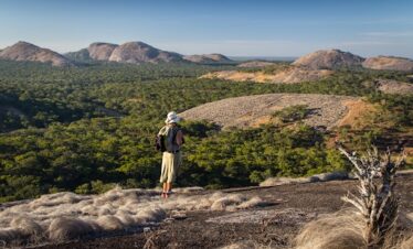 South Luangwa Thornicroft Zambia Africa