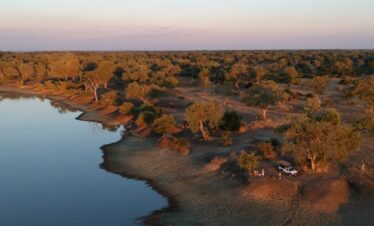 South Luangwa Thornicroft Zambia Africa