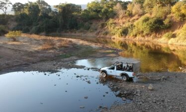 Safari South Luangwa Thornicroft Zambia Africa