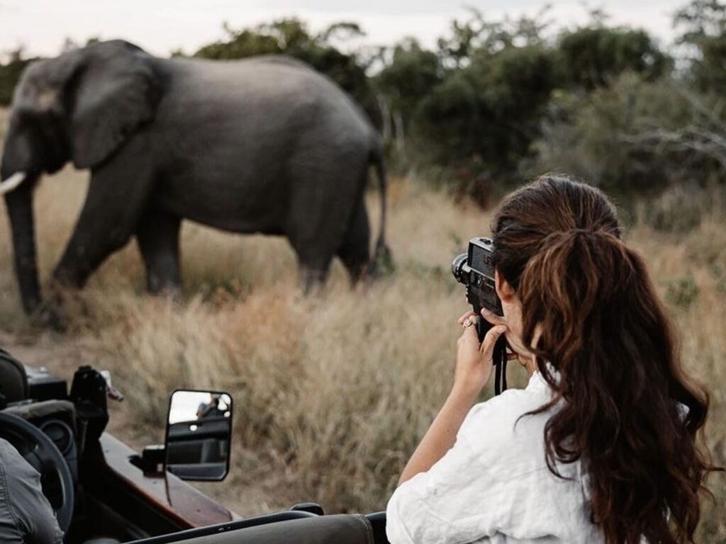 %Best African Safari In Zambia South Luangwa%