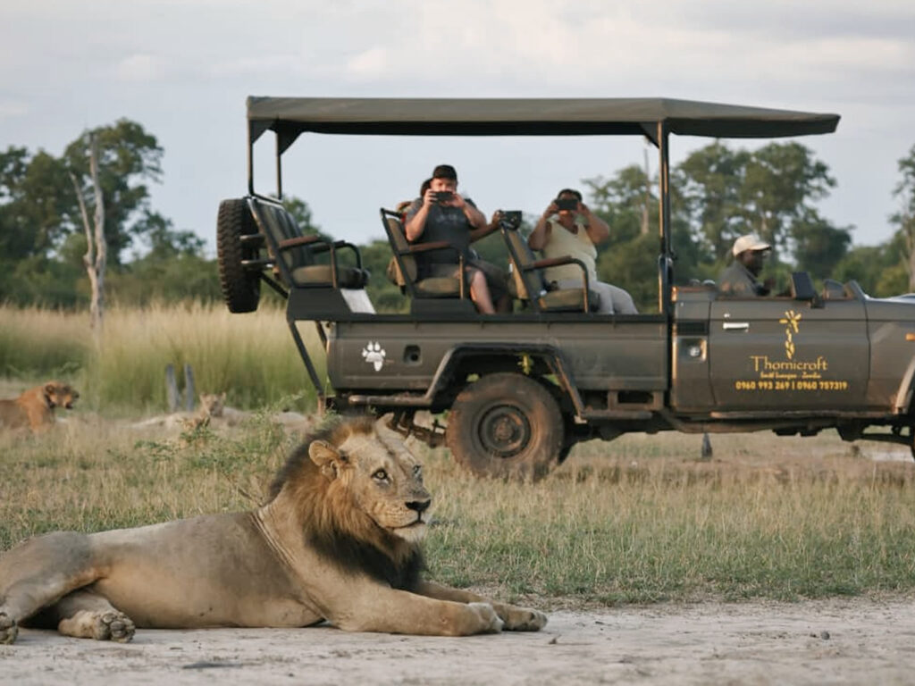 %Best African Safari In Zambia South Luangwa%