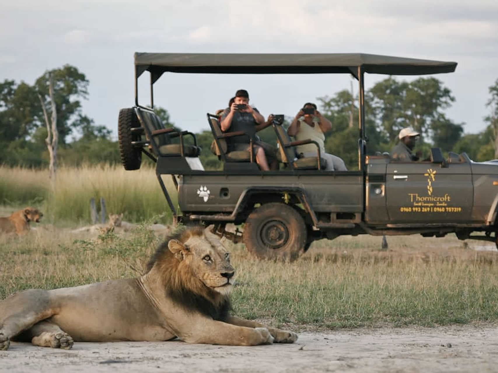Home 11 %Best African Safari In Zambia South Luangwa%