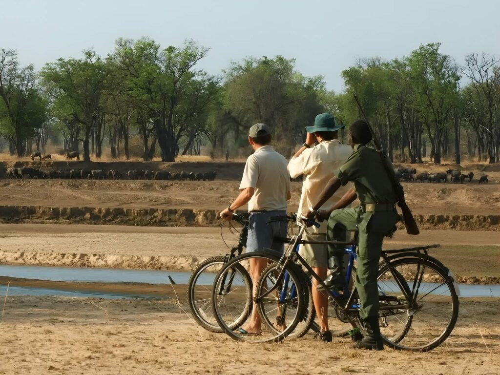 %Best African Safari In Zambia South Luangwa%