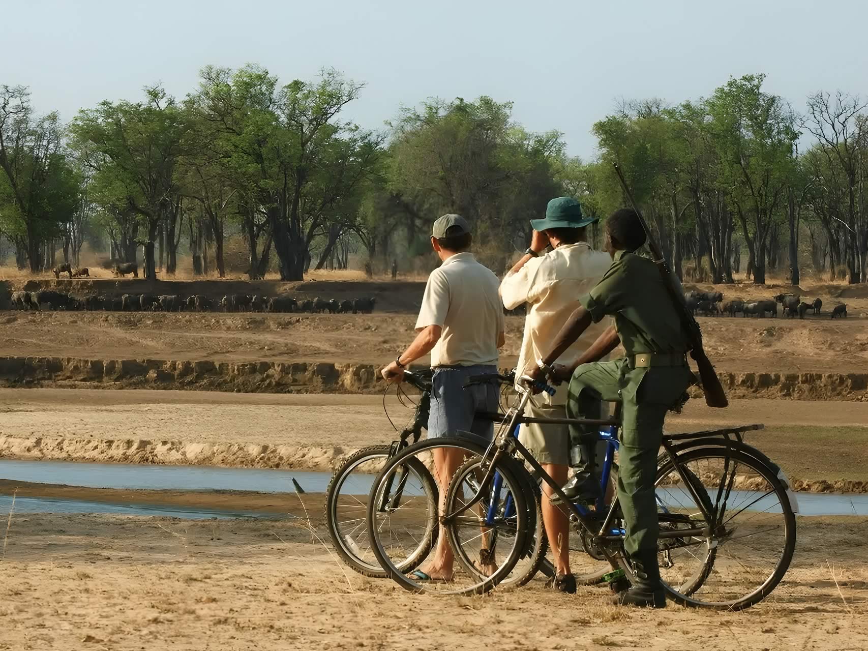 Home 13 %Best African Safari In Zambia South Luangwa%