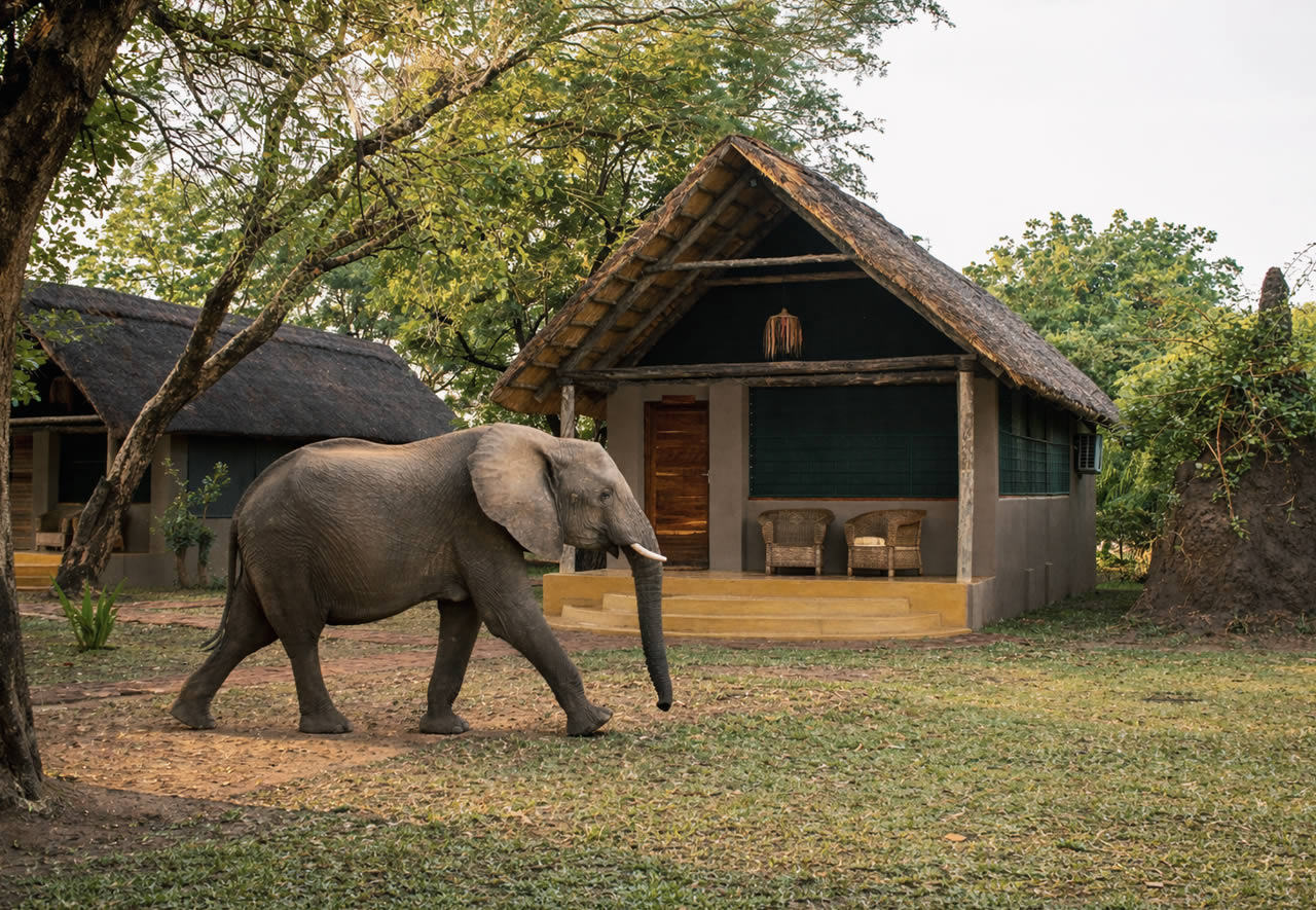 Home 1 Luxury Chalet Exterior 1