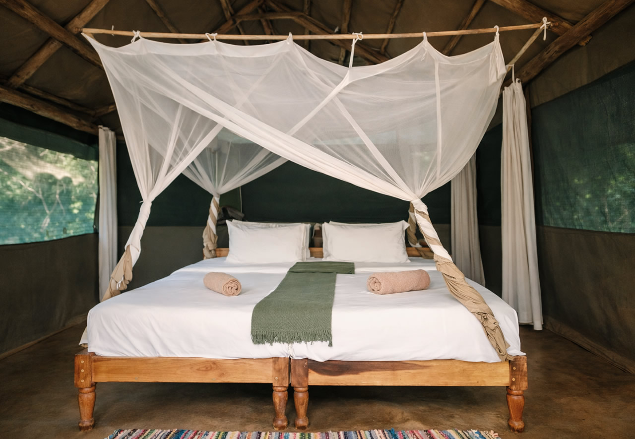 Home 9 Tented Chalet Nice 1